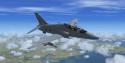 Hawk02