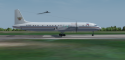 Il-18
