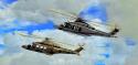 pakistanaw139