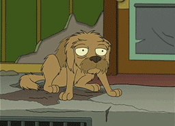 sad dog.gif