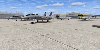 Tomcats.jpg