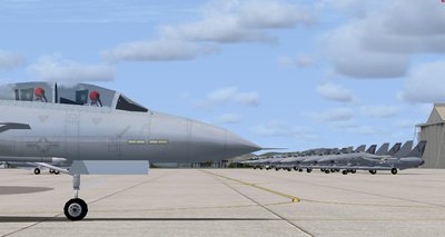 canopies.jpg