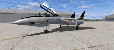 Tomcatfinal.jpg