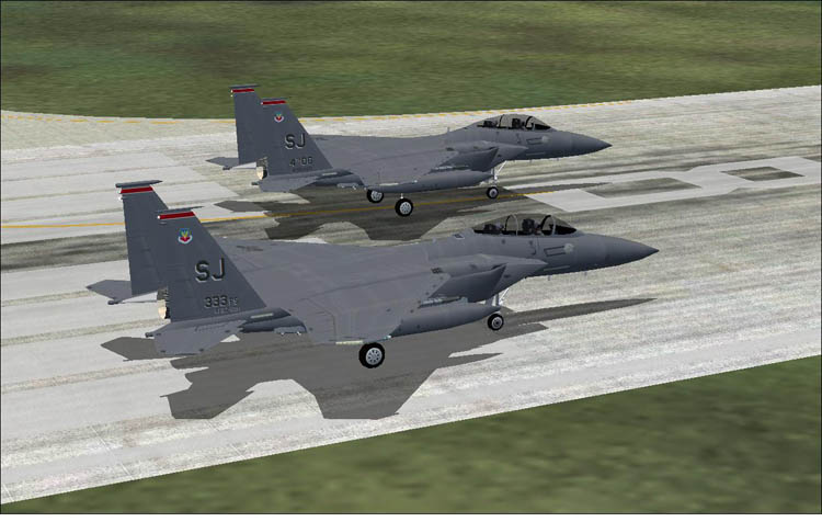 F-15E 333FS SJ.jpg