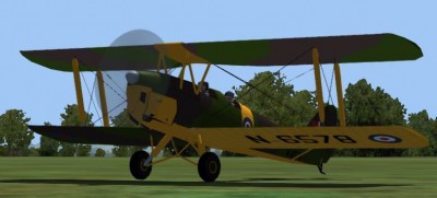 Tiger Repaint2.JPG