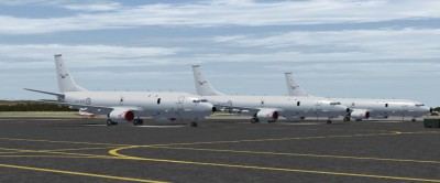 P8A1.jpg