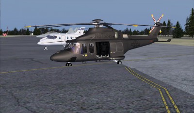 Grey Wolf 1.JPG