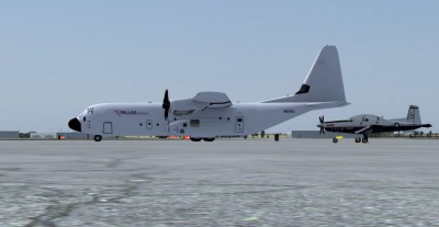 Pallas 2.JPG