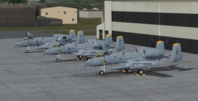 fsx sp A-10_02.JPG