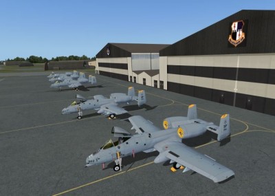 A-10_81FS.JPG