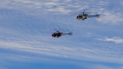 alouette-4.jpg