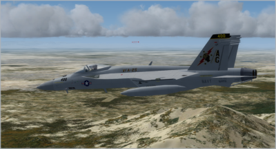 VFA-25 CAG.png
