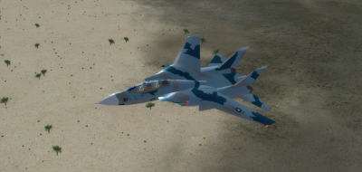 NSAWC F-14 1.png