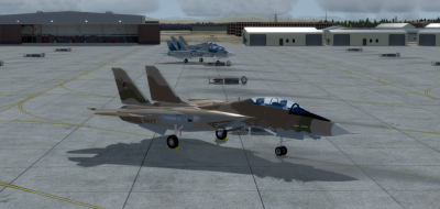 NSAWC F-14.png