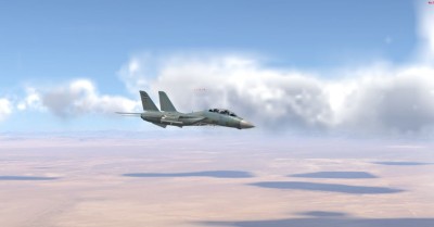 IRIAF Tomcat.JPG