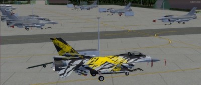 XTiger.jpg