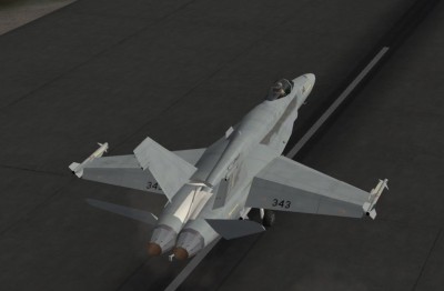 NBAI hornet touchdown 2.JPG