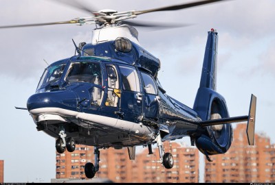 zj780-army-air-corps-eurocopter-as-365-n3-dauphin_PlanespottersNet_1519069_8d2f327e4a_o.jpg