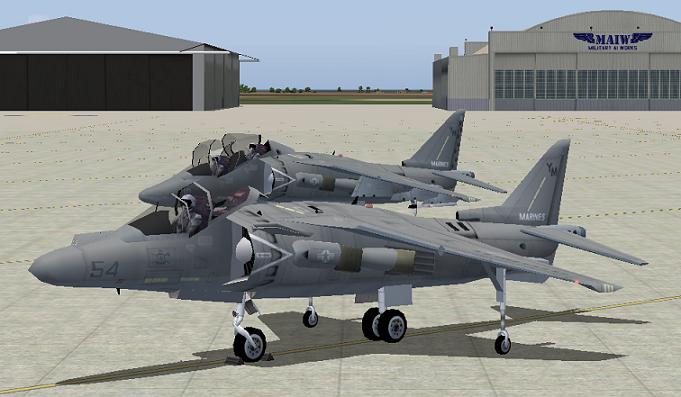 Harriers 2.JPG