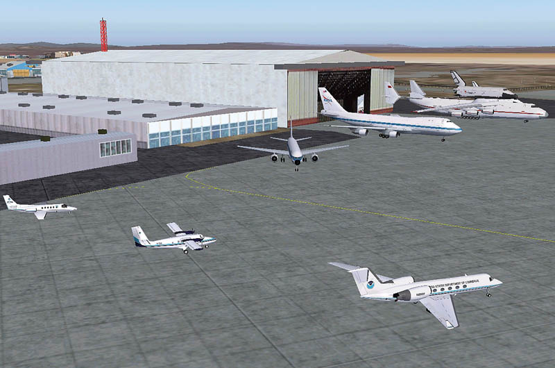 NOAA and NASA birds with a special vistor.jpg